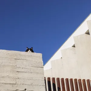 DaCo